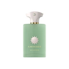 Kvapusis vanduo Amouage Meander EDP moterims/vyrams, 100 ml kaina ir informacija | Kvepalai moterims | pigu.lt