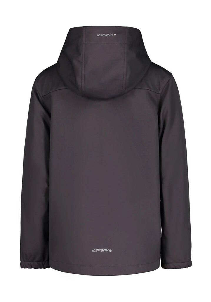 Džemperis berniukams Icepeak Kline 51897-9*270, juodas цена и информация | Megztiniai, bluzonai, švarkai berniukams | pigu.lt