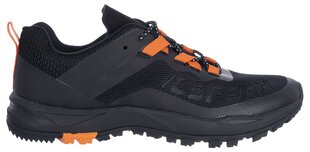 Moteriški laisvalaikio batai Icepeak Aigio MS 75276-9*990, juodi 6438496750521 kaina ir informacija | Sportiniai bateliai, kedai moterims | pigu.lt