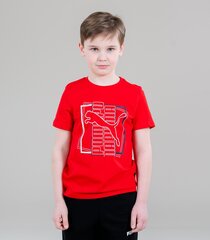 Marškinėliai vaikams Puma Alpha Graphic 4064535487480, raudoni kaina ir informacija | Marškinėliai berniukams | pigu.lt