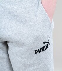 Sportinės kelnės berniukams Puma 4063697160910, pilkos kaina ir informacija | Kelnės berniukams | pigu.lt