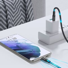 Joyroom, USB Type C - USB Type C, 1m kaina ir informacija | Laidai telefonams | pigu.lt