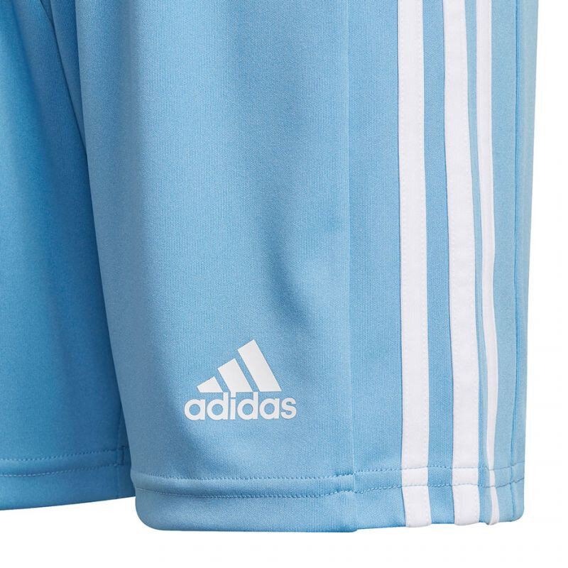 Šortai berniukams Adidas Squadra 21 GN6716, mėlyni kaina ir informacija | Futbolo apranga ir kitos prekės | pigu.lt