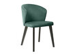 Kėdė BRW Ragit, žalia kaina ir informacija | Virtuvės ir valgomojo kėdės | pigu.lt