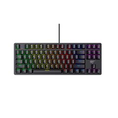 Havit KB869L Mechanical Gaming Keyboard RGB цена и информация | Клавиатуры | pigu.lt