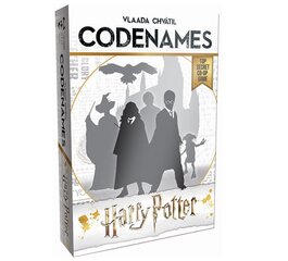 Codenames: Harry Potter kaina ir informacija | USAopoly Vaikams ir kūdikiams | pigu.lt