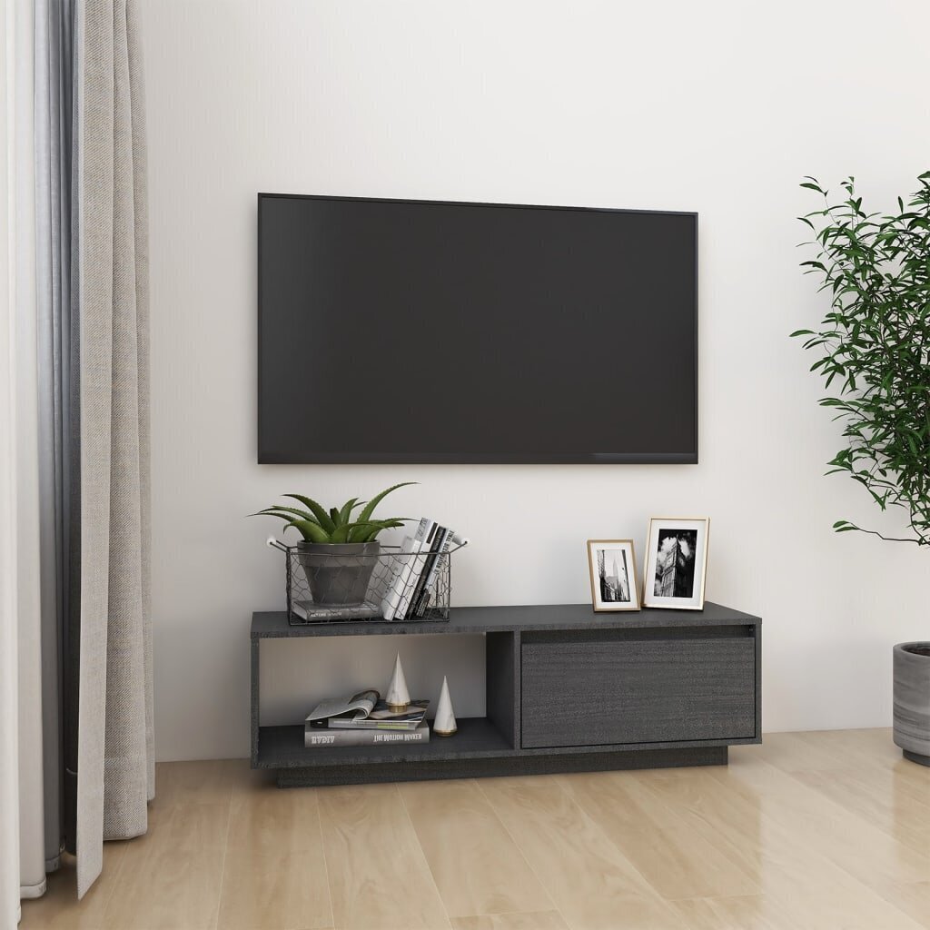 Televizoriaus spintelė, 110x30x33,5 cm, pilka kaina ir informacija | TV staliukai | pigu.lt