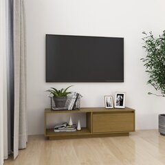 Televizoriaus spintelė, 110x30x33,5 cm, rudas цена и информация | Тумбы под телевизор | pigu.lt