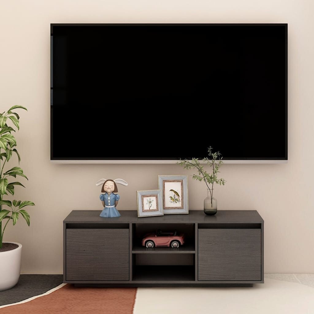 Televizoriaus spintelė, 110x30x40 cm, pilka kaina ir informacija | TV staliukai | pigu.lt