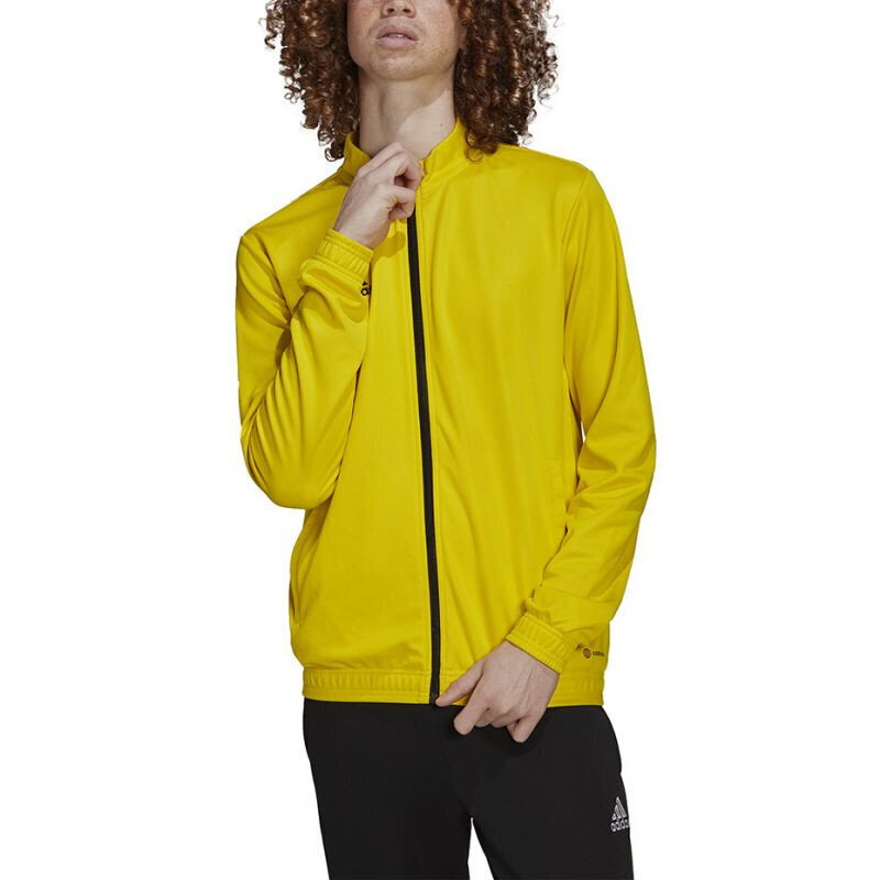 Džemperis vyrams Adidas Entrada 22 Track Jacket M HI2134, geltonas kaina ir informacija | Džemperiai vyrams | pigu.lt