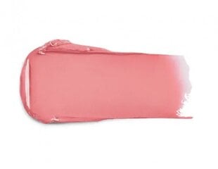Питательная губная помада Kiko Milano 406 цвет, 3 гр цена и информация | Помады, бальзамы, блеск для губ | pigu.lt