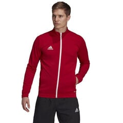 Džemperis vyrams Adidas Entrada 22 Track Jacket M H57537, raudonas цена и информация | Мужские толстовки | pigu.lt