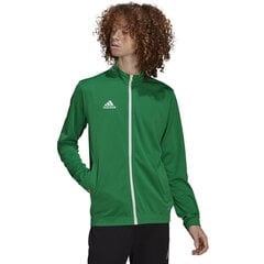 Džemperis vyrams Adidas Entrada 22 Track Jacket M HI2135, žalias kaina ir informacija | Džemperiai vyrams | pigu.lt