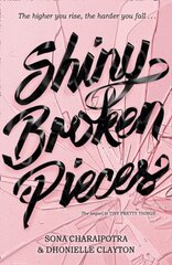 Shiny Broken Pieces цена и информация | Романы | pigu.lt