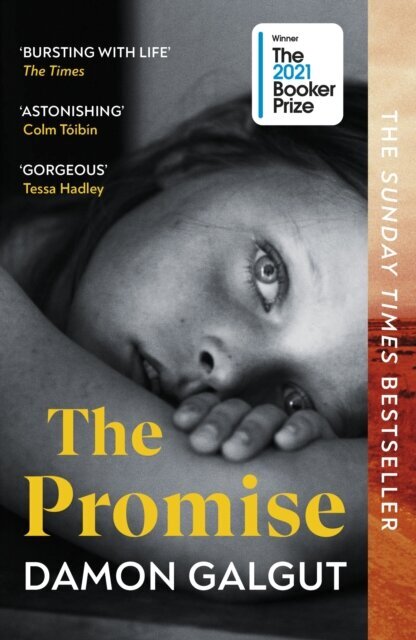 The Promise : Winner of the Booker Prize 2021 kaina ir informacija | Romanai | pigu.lt