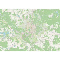 Фотообои подробная карта Вильнюса цена и информация | Фотообои с инструментом и клеем - Бежевые листья эвкалипта, 400x280 см | pigu.lt