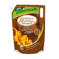 Кондиционер для белья Spuma di Sciampagna CAREZZA D'ARGAN REFILL 1200мл цена и информация | Средства для стирки | pigu.lt