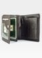 Vyriška piniginė Visconti HT11, ruda kaina ir informacija | Vyriškos piniginės, kortelių dėklai | pigu.lt