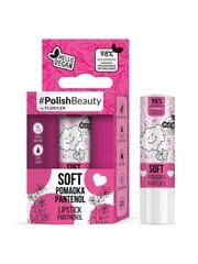 Lūpų balzamas Floslek #PolishBeauty Lipstick Panthenol, 4,1g kaina ir informacija | Lūpų dažai, blizgiai, balzamai, vazelinai | pigu.lt