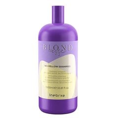 Geltonus atspalvius neutralizuojantis šampūnas Inebrya Blondesse No-Yellow 1000 ml kaina ir informacija | Inebrya Kvepalai, kosmetika | pigu.lt