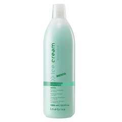 Увлажняющий шампунь для волос, для ежедневного мытья Inebrya Ice Cream Frequent Refreshing Shampoo с мятой, 1000 мл цена и информация | Шампуни | pigu.lt