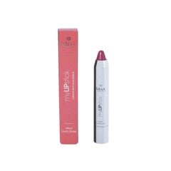 Lūpų dažai Miya My Lip Stick All-In-One Dusty Rose, 2,5g kaina ir informacija | Lūpų dažai, blizgiai, balzamai, vazelinai | pigu.lt