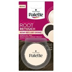 Ataugusių šaknų korektorius Palette Compact Root Retouch Brown, 3g kaina ir informacija | Plaukų dažai | pigu.lt