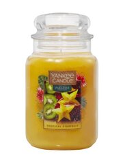 Yankee Candle žvakė Tropical Starfruit, 623g цена и информация | Подсвечники, свечи | pigu.lt