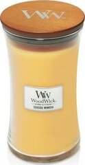 WoodWick свеча Seaside Mimosa Vase (seaside mimosa) - Scented candle 609.5 г цена и информация | Подсвечники, свечи | pigu.lt