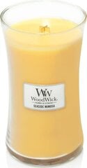 WoodWick свеча Seaside Mimosa Vase (seaside mimosa) - Scented candle 609.5 г цена и информация | Подсвечники, свечи | pigu.lt