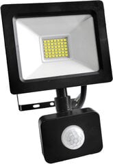 Omega LED floodlight 30W 4200K (45694) цена и информация | Фонарики, прожекторы | pigu.lt