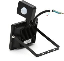 Omega LED floodlight 30W 4200K (45694) цена и информация | Фонарики, прожекторы | pigu.lt