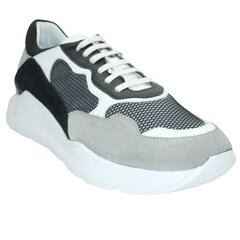 Мужская Спортивная Обувь Panucci 42107102_44 цена и информация | Кроссовки для мужчин | pigu.lt