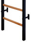Gimnastikos sienelė BenchK 211B kaina ir informacija | Gimnastikos sienelės | pigu.lt