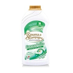 Fresco Pulito ploviklis, 800 ml kaina ir informacija | Skalbimo priemonės | pigu.lt