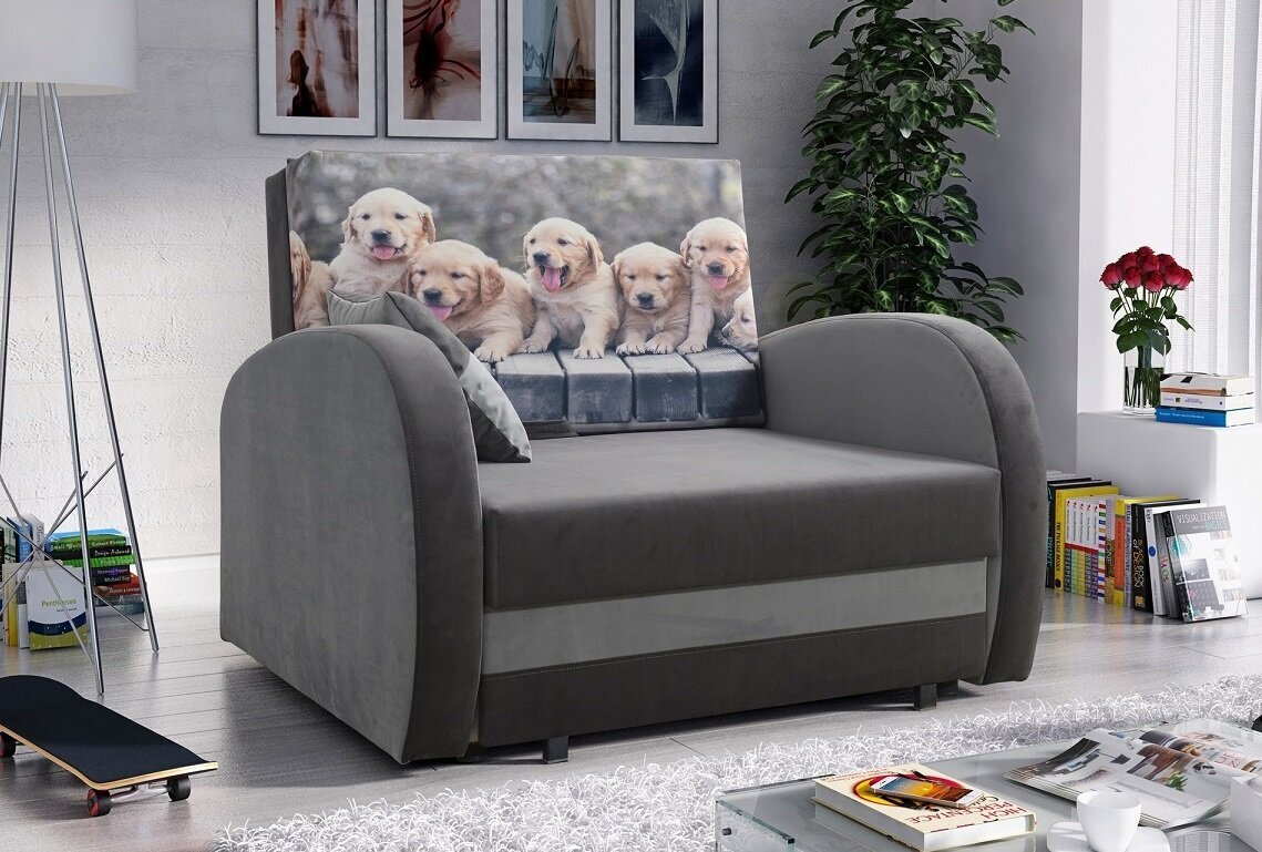 Miegamasis fotelis Lola Dogs, grafito/pilka цена и информация | Svetainės foteliai | pigu.lt