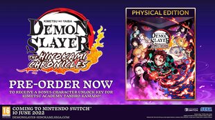 Demon Slayer - Kimetsu no Yaiba The Hinokami Chronicles Switch  цена и информация | Компьютерные игры | pigu.lt