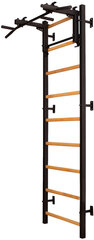Gimnastikos sienelė su reguliuojamu strypu BenchK 711 kaina ir informacija | Gimnastikos sienelės | pigu.lt