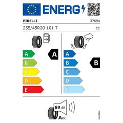 Шина для квадроцикла Pirelli SCORPION S-I ELT 255/45TR20 цена и информация | Летняя резина | pigu.lt