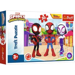 Dėlionė Trefl Žmogus voras Spidey, 30 d. kaina ir informacija | Dėlionės (puzzle) | pigu.lt