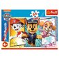 Dėlionė Trefl Šunyčiai Patruliai (Paw Patrol), 54 d. kaina ir informacija | Dėlionės (puzzle) | pigu.lt