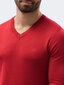 Vyriškas megztinis Ombre E191, raudonas kaina ir informacija | Megztiniai vyrams | pigu.lt