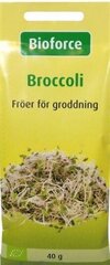 Brokoliai Broccoli Bioforce, 40g kaina ir informacija | Daržovių, uogų sėklos | pigu.lt