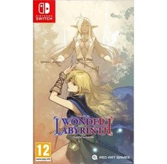 Компьютерная игра Record of Lodoss War: Deedlit in Wonder Labyrinth Nintendo Switch цена и информация | Компьютерные игры | pigu.lt