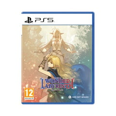 Компьютерная игра Record of Lodoss War: Deedlit in Wonder Labyrinth Playstation 5 PS5  цена и информация | Red Art Games Компьютерная техника | pigu.lt