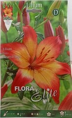 Лилии Heartstrings, 2 шт. цена и информация | Луковицы цветов | pigu.lt