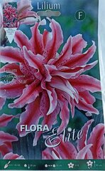 Лилии Magic Star, 2 шт. цена и информация | Луковицы цветов | pigu.lt