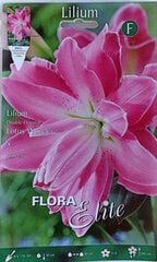 Lelijos Lotus Wonder kaina ir informacija | Gėlių svogūnėliai | pigu.lt