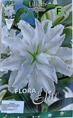 Лилии Polar Star, 2 шт. цена и информация | Луковицы цветов | pigu.lt