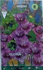 Гладиолус Passos, 10 шт. цена и информация | Луковицы цветов | pigu.lt